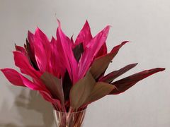 -金陵花卉交易市场