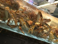 -尚海豆捞(乐虹坊店)