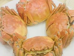-王宝和酒家(黄浦店)