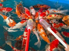 -上海海昌海洋公园