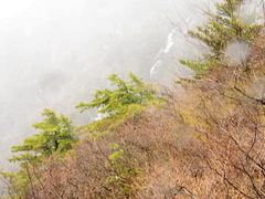 -牛背梁国家森林公园