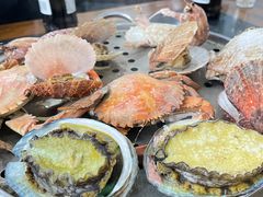 清蒸蛤蜊-九层海鲜塔(市南店)