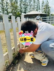 -前小桔亲子创意农场·草莓采摘·露营烧烤