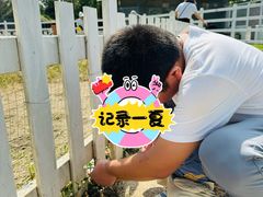 -前小桔亲子创意农场·草莓采摘·露营烧烤