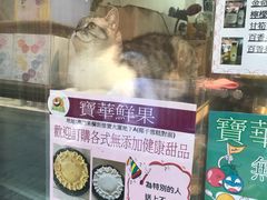 -洪馨椰子