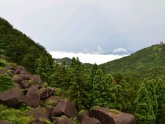-玉苍山国家森林公园