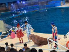 -泉城欧乐堡海洋极地世界