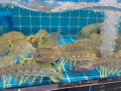 -渔文乐·海鲜大排档(壹品总店)