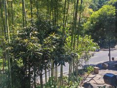 -龙井壹号·茶缘山景宴(龙井村店)