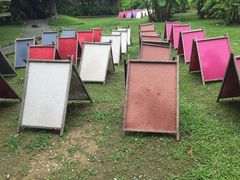 -大象粑粑造纸公园