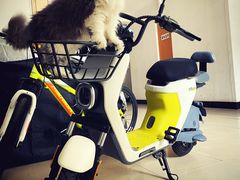 -九号电动车(安定门内大街店)