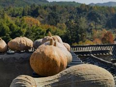 -塔川景区
