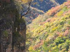 -黄金寨原生态旅游区
