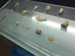 -荆州博物馆
