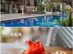 -喜洲吧·江畔老船厂·庭院餐厅(喜临院店)