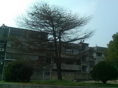 -湘鄂赣边区鄂东南革命烈士陵园