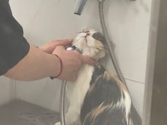 -comecome来吧宠物(奥克斯中心店)