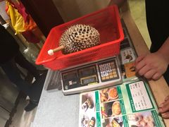 -都念榴莲·城市榴莲