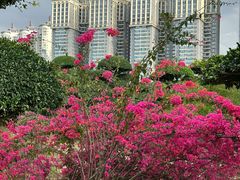 -南宁南湖公园