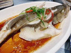 清蒸鲈鱼-湘春酒家·1989(运达汇店)