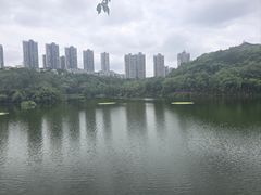 -重庆彩云湖湿地公园