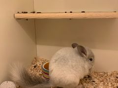 -龙猫仔乐园(惠福东路店)