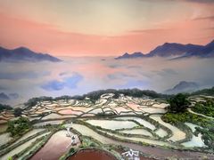 -中国湿地博物馆