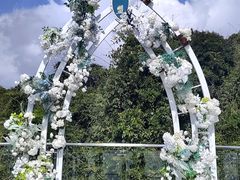-亚龙湾热带天堂森林公园