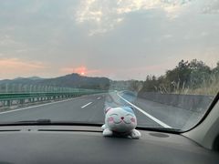 -聂师傅油焖大虾
