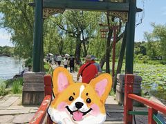 -承德避暑山庄景区