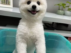 -远洋未来广场(育慧北路店)