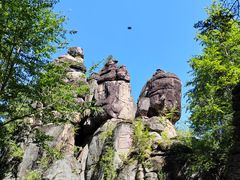 -汤旺河林海奇石景区