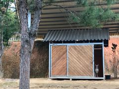 -泉州海丝野生动物世界