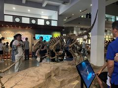 -自贡恐龙博物馆