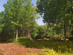 -宝界山林公园
