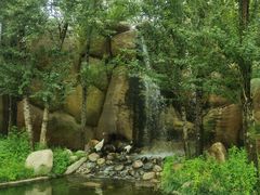 -北京野生动物园