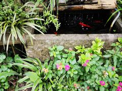 -胡桃里乐队酒馆(鎏嘉码头店)