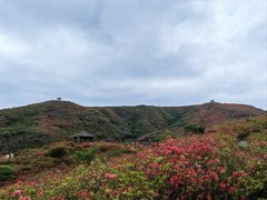-大围山国家森林公园