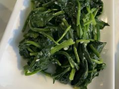 -云中小雅