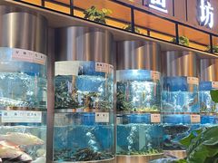 -老船舫·现做活鲜鱼馆(东郊记忆店)