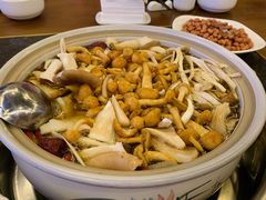 -珍品轩鲜菌火锅(眉山店)