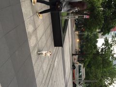 iphone_upload_pic-台北101