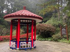 -庐山风景区花径公园