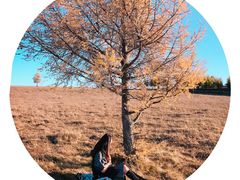 -塞罕坝国家级自然保护区