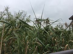 -新木器时代餐厅(太湖新天地店)