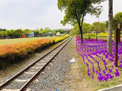 -歌斐颂巧克力小镇