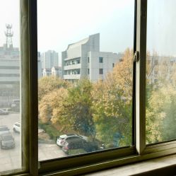 -天津市滨海新区塘沽妇产医院