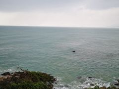 -叶记猪肚鸡(宝安椰林湾店)