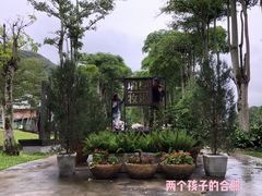 -瑞穗牧场