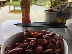 -同銮特种养殖场·龙虾垂钓